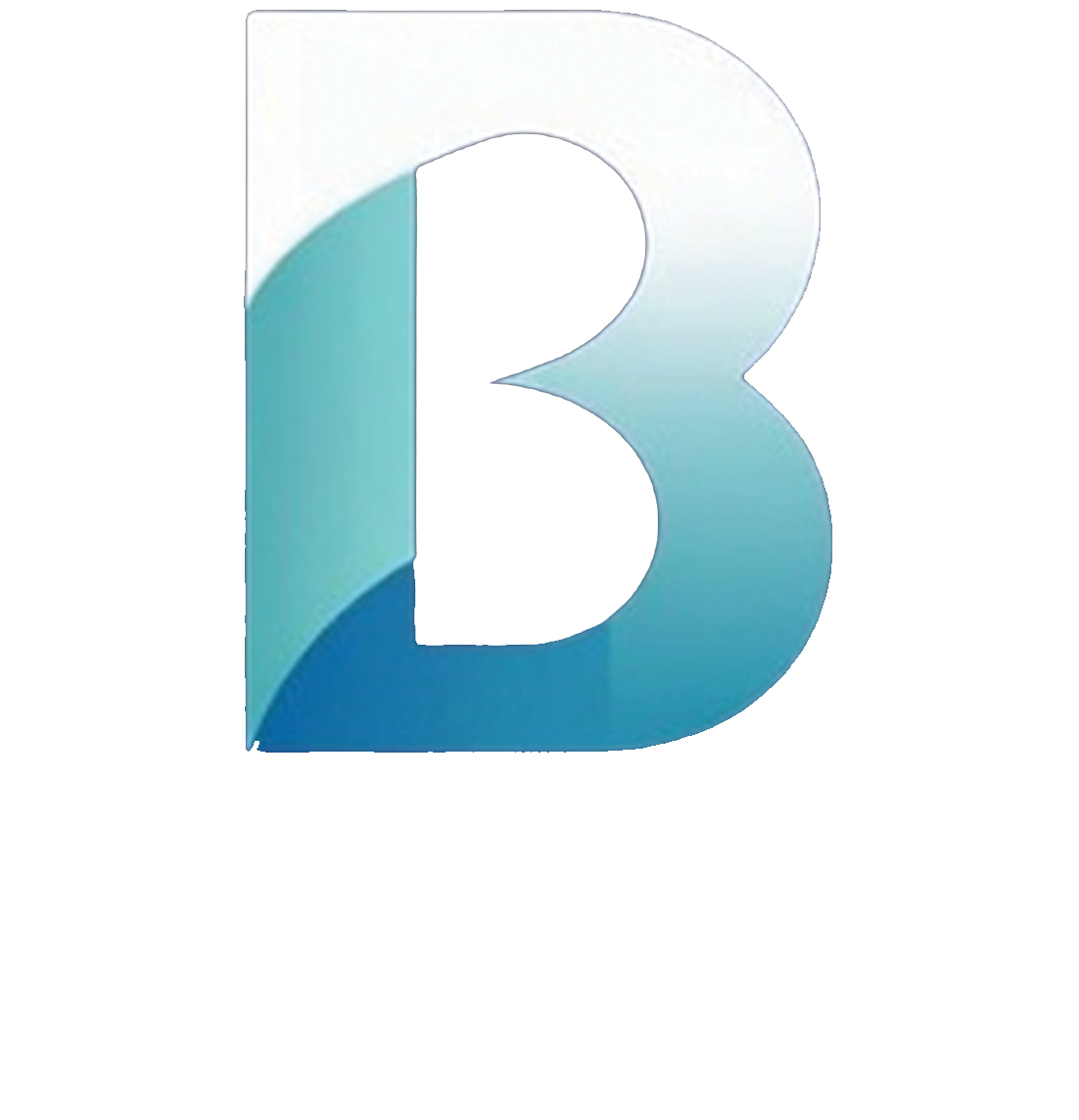 Blucoin
